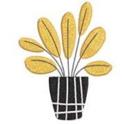 Boho Flower Canvas 01